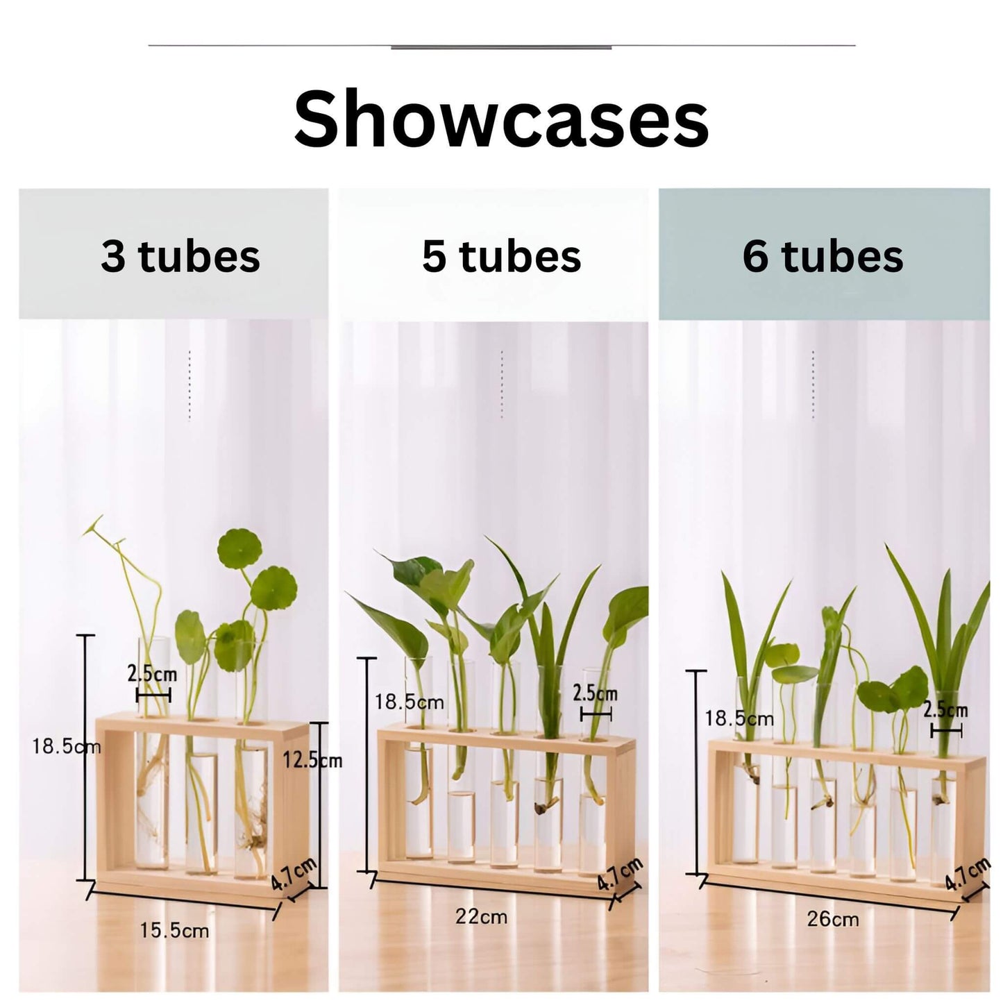 PlantVue Holder: Stylish And Simple Plant Propagation Station and Terrarium