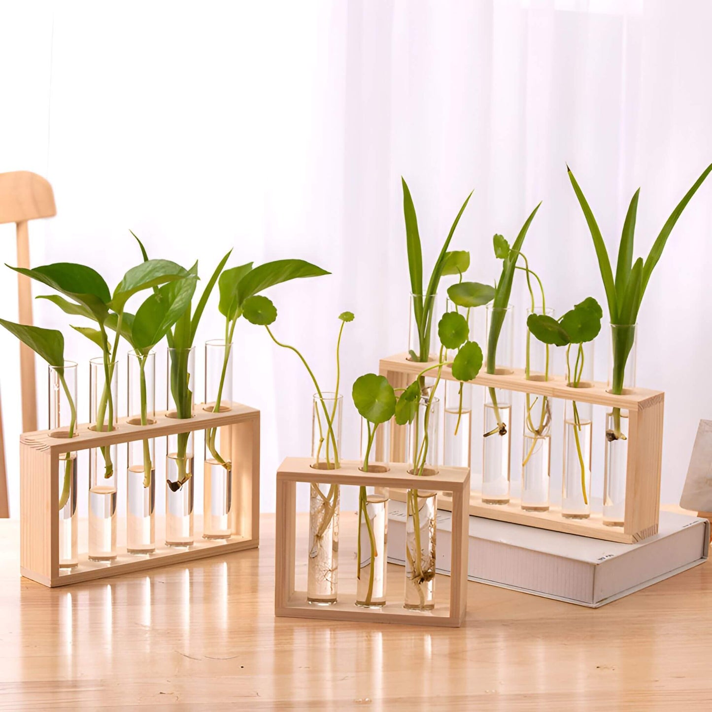 PlantVue Holder: Stylish And Simple Plant Propagation Station and Terrarium