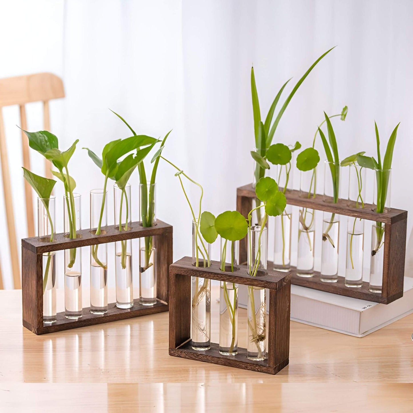 PlantVue Holder: Stylish And Simple Plant Propagation Station and Terrarium