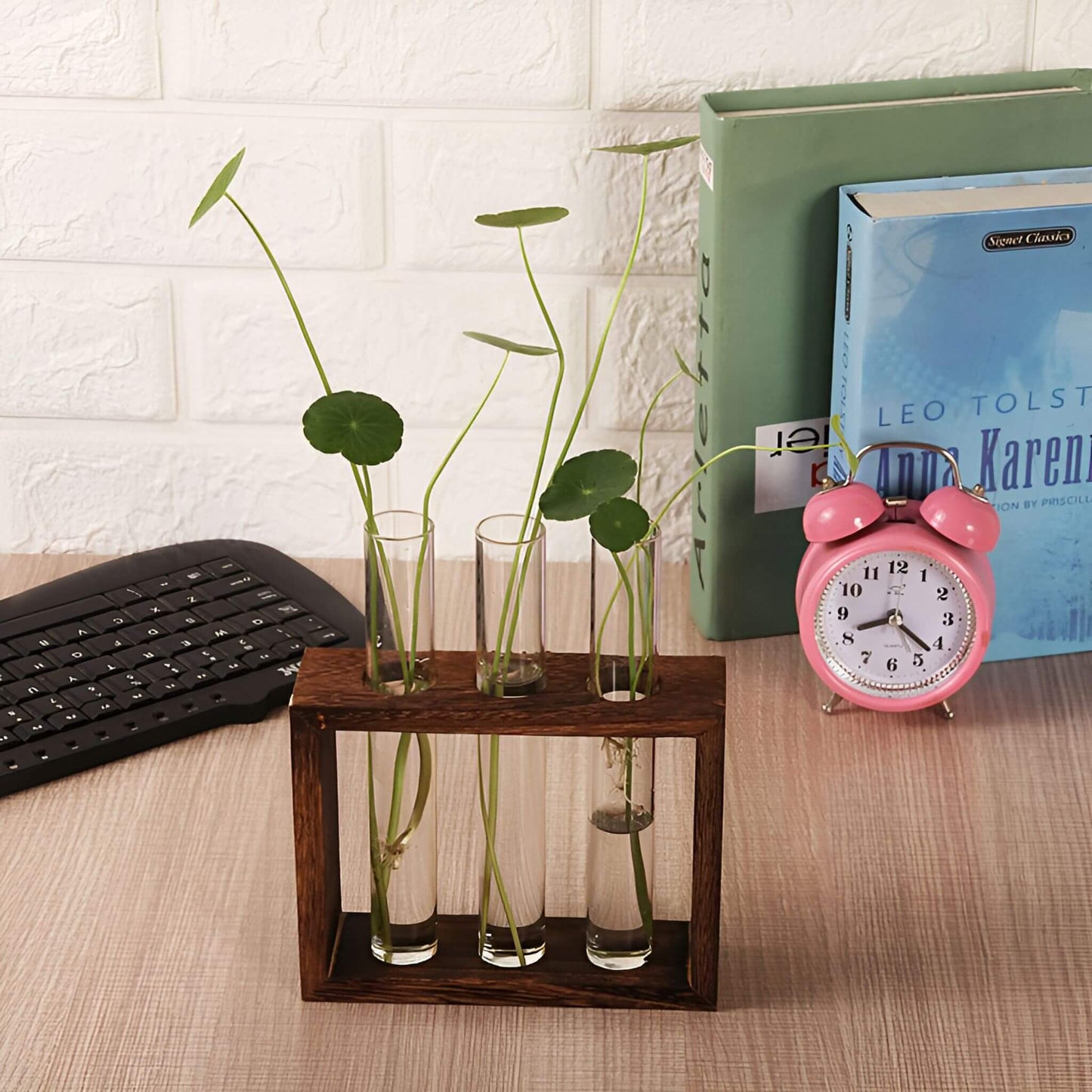 PlantVue Holder: Stylish And Simple Plant Propagation Station and Terrarium