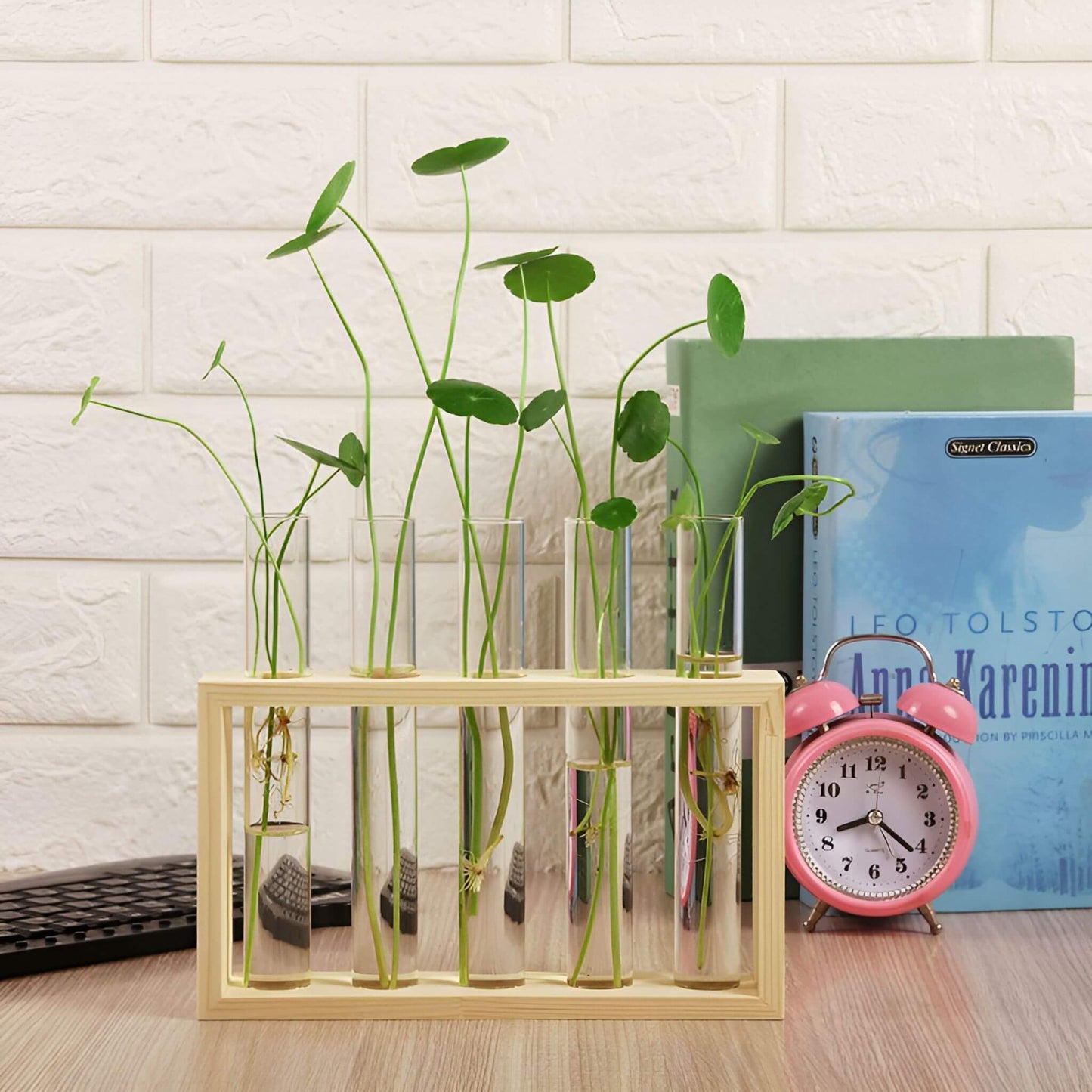 PlantVue Holder: Stylish And Simple Plant Propagation Station and Terrarium