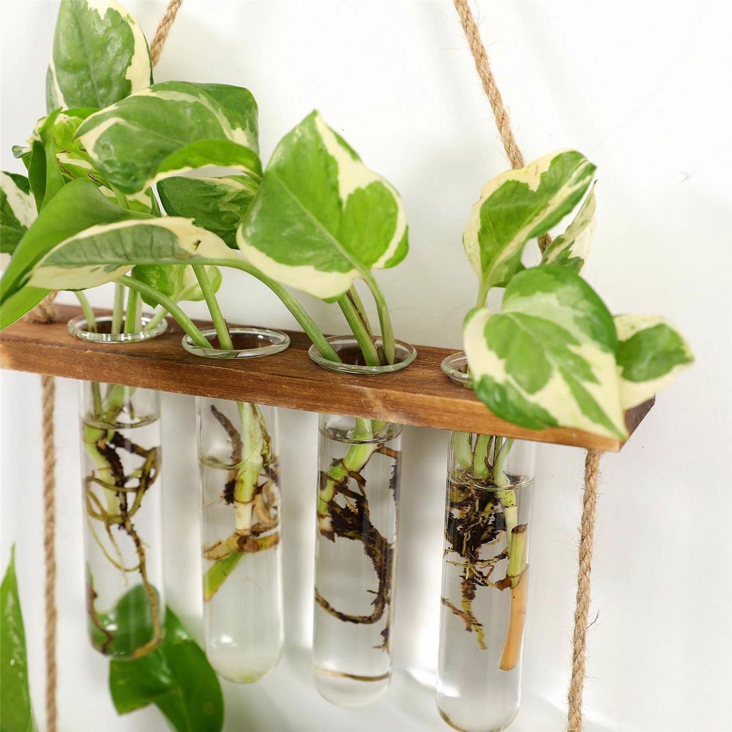 BloomHaven Multi-Tier Glass Hanging Plant Propagation Station