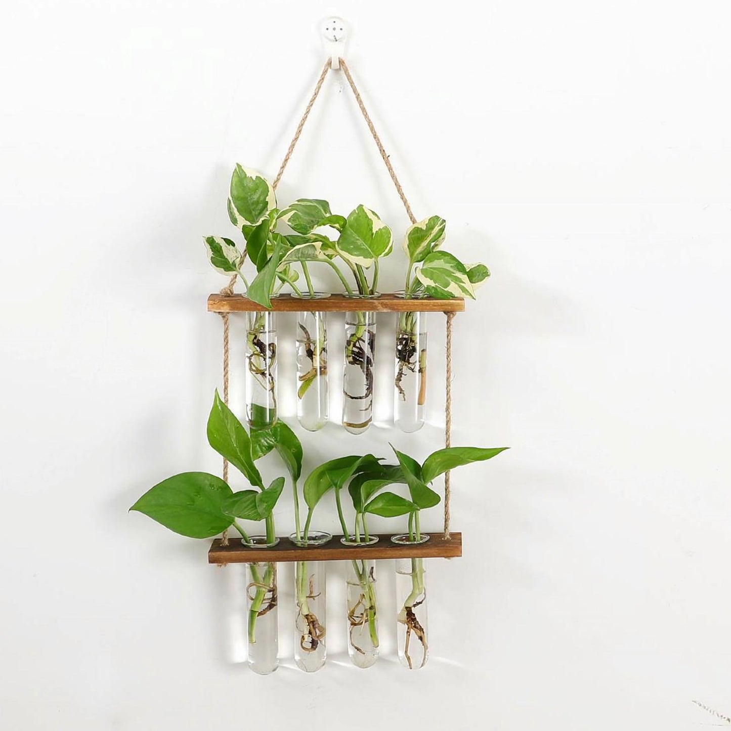 BloomHaven Multi-Tier Glass Hanging Plant Propagation Station