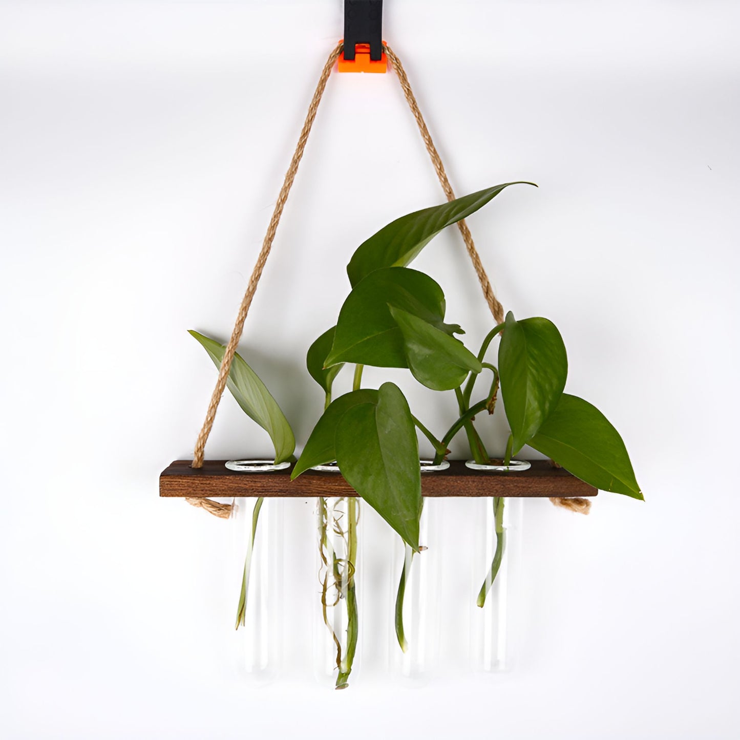 BloomHaven Multi-Tier Glass Hanging Plant Propagation Station