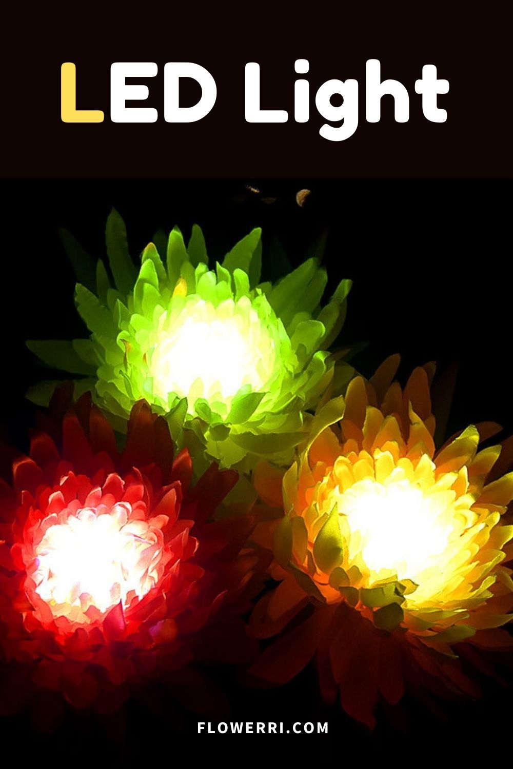 Solar Chrysanthemum Light for Outdoor Garden