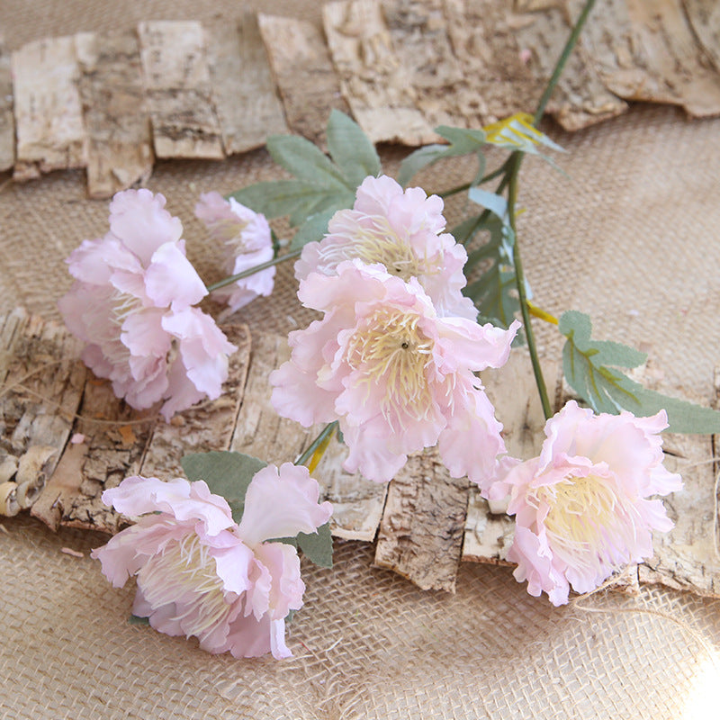Artificial 6 Heads Peony For Living Room Indoor Decoration And Wedding