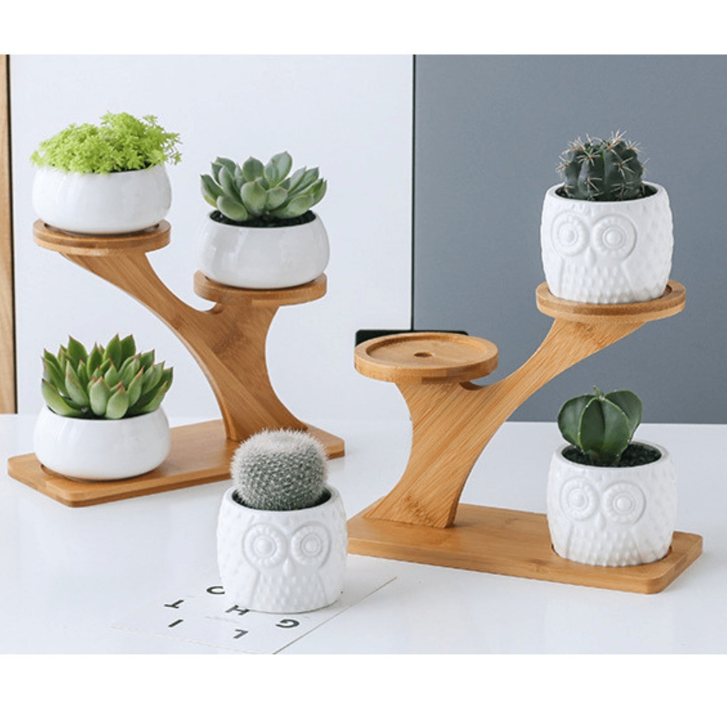 Modern Bamboo Stand Holder for Succulents and Plants