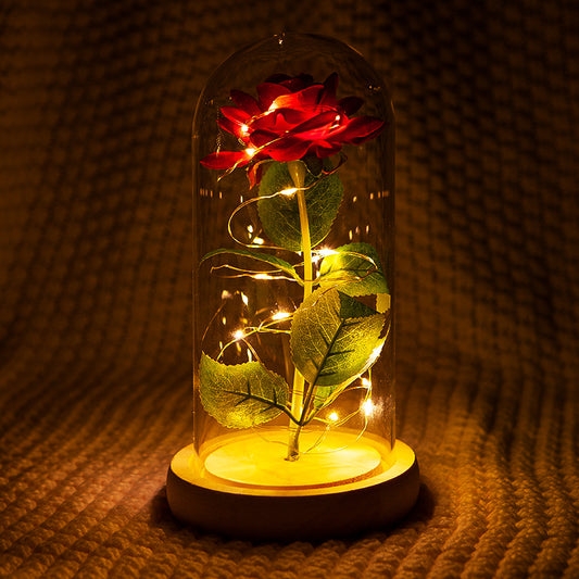 Forever Flower with Red Rose and Led Light