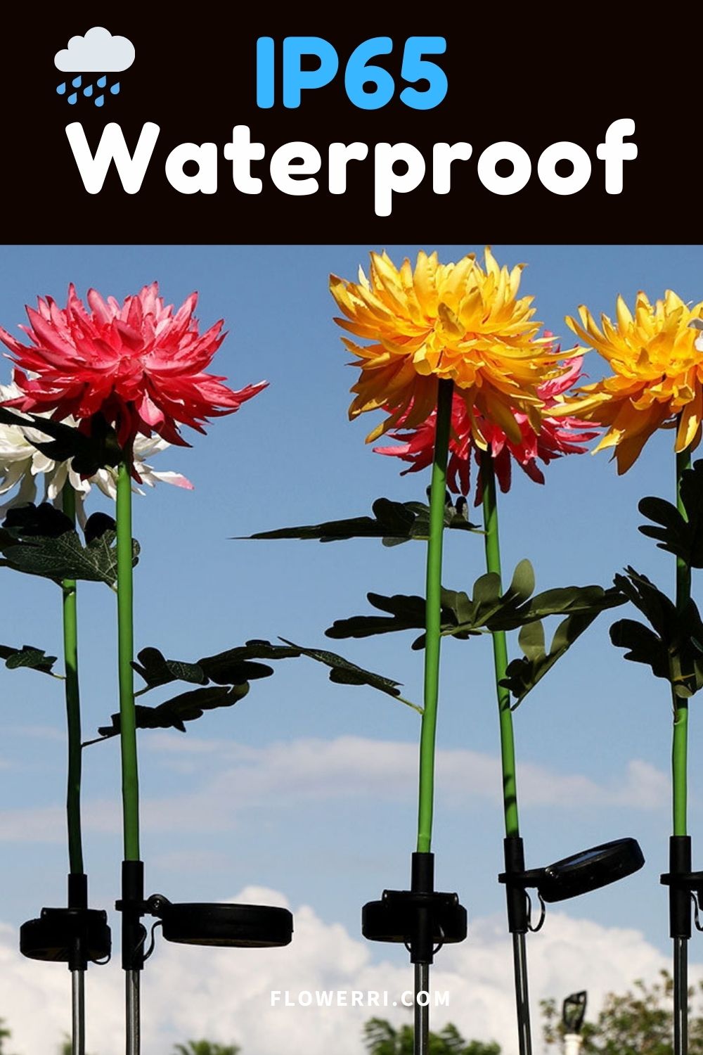 Solar Chrysanthemum Light for Outdoor Garden