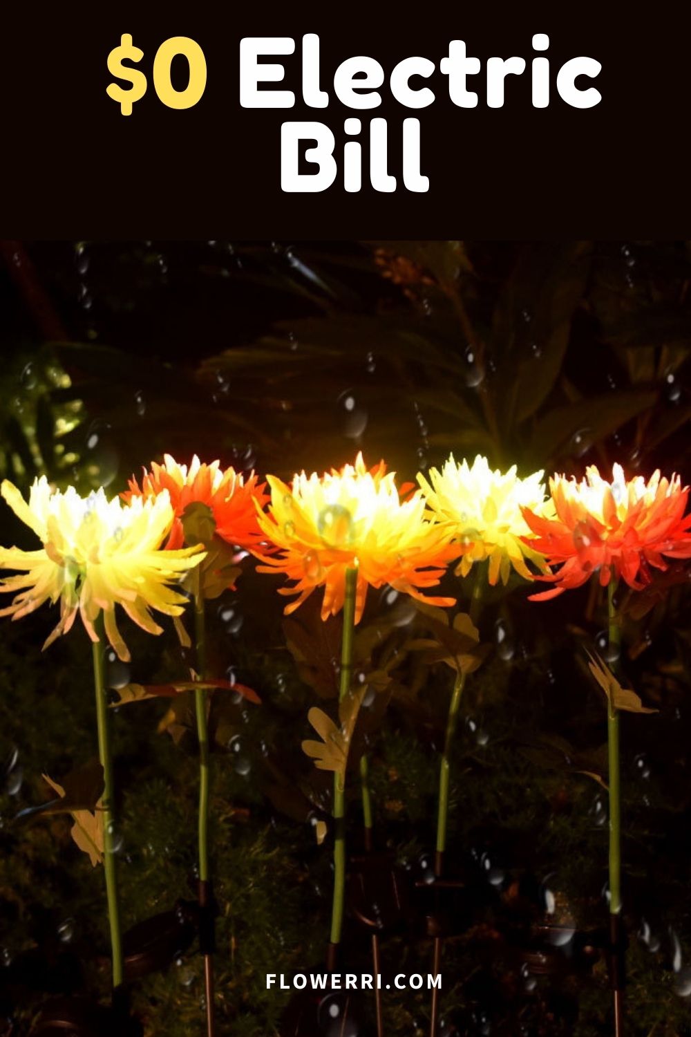 Solar Chrysanthemum Light for Outdoor Garden