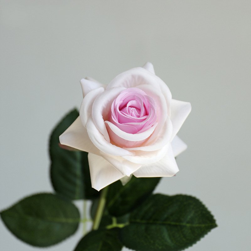 Real Touch Artificial Horn Rose For Living Room Indoor Decoration And Wedding