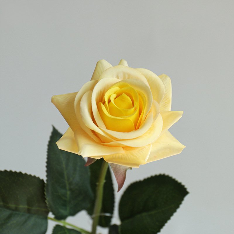 Real Touch Artificial Horn Rose For Living Room Indoor Decoration And Wedding