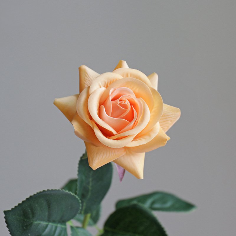 Real Touch Artificial Horn Rose For Living Room Indoor Decoration And Wedding