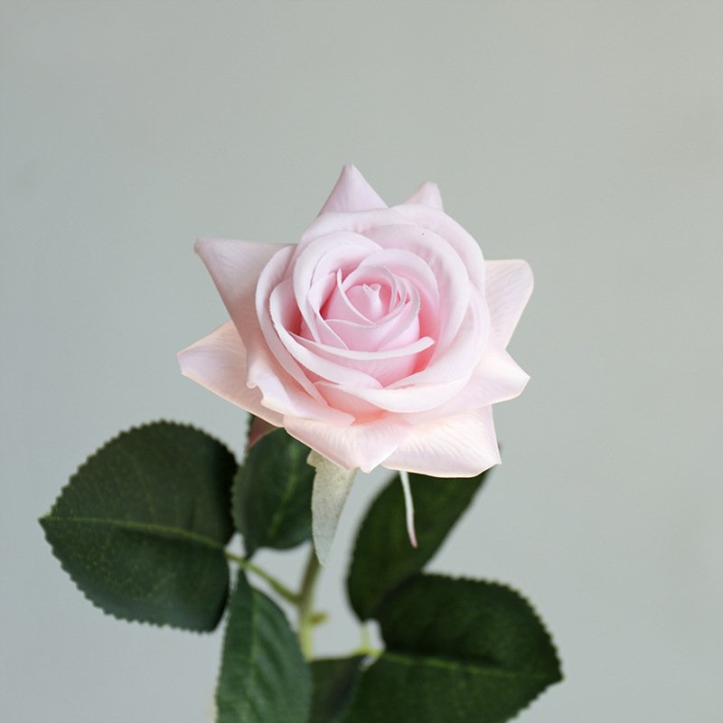 Real Touch Artificial Horn Rose For Living Room Indoor Decoration And Wedding