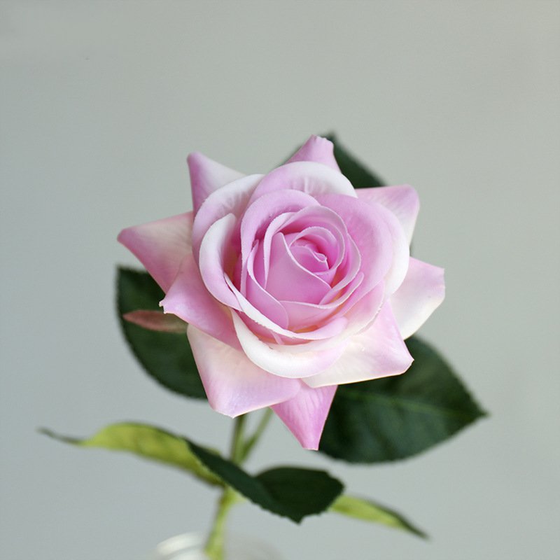 Real Touch Artificial Horn Rose For Living Room Indoor Decoration And Wedding