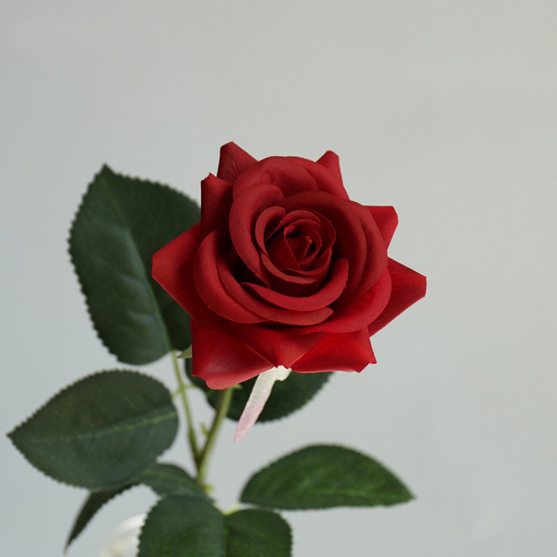 Real Touch Artificial Horn Rose For Living Room Indoor Decoration And Wedding