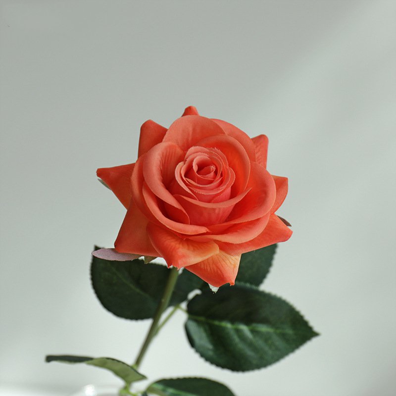 Real Touch Artificial Horn Rose For Living Room Indoor Decoration And Wedding