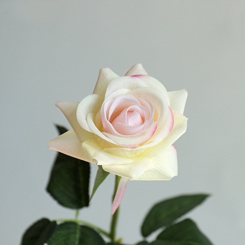 Real Touch Artificial Horn Rose For Living Room Indoor Decoration And Wedding