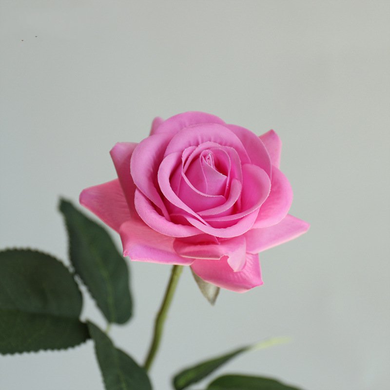 Real Touch Artificial Horn Rose For Living Room Indoor Decoration And Wedding