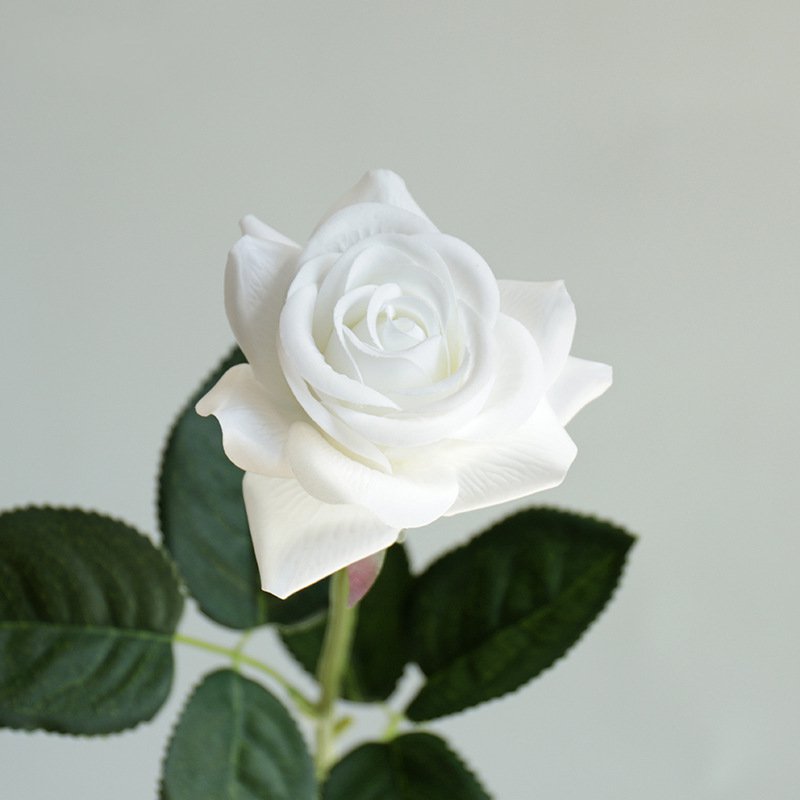 Real Touch Artificial Horn Rose For Living Room Indoor Decoration And Wedding