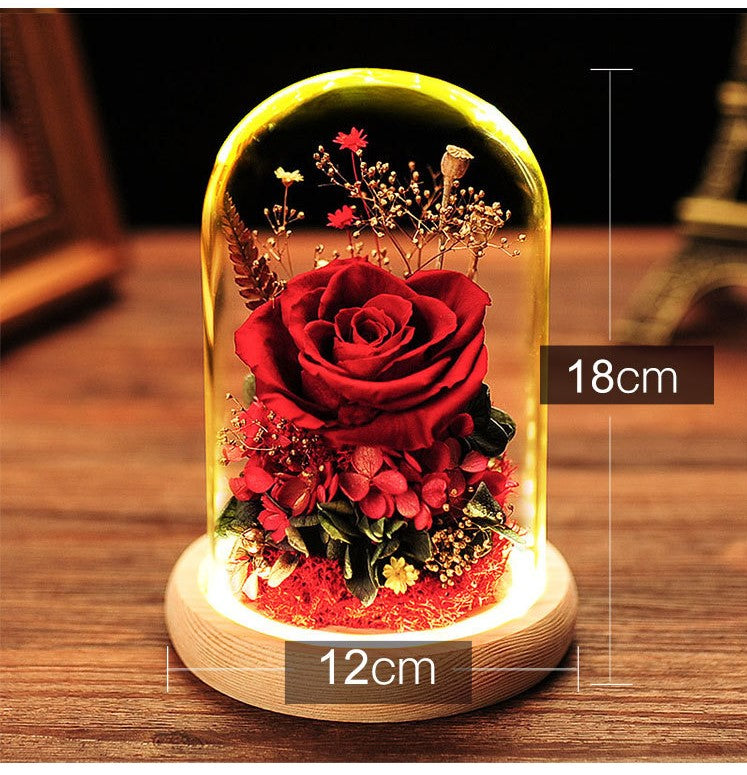 Preserved Rose in The Glass Dome For Any Occasion