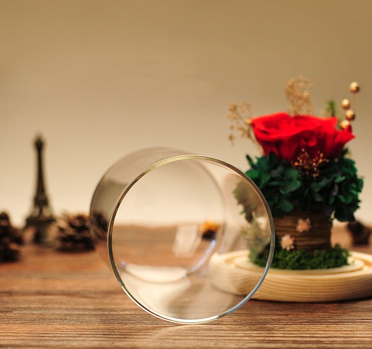 Preserved Rose in The Glass Dome For Any Occasion