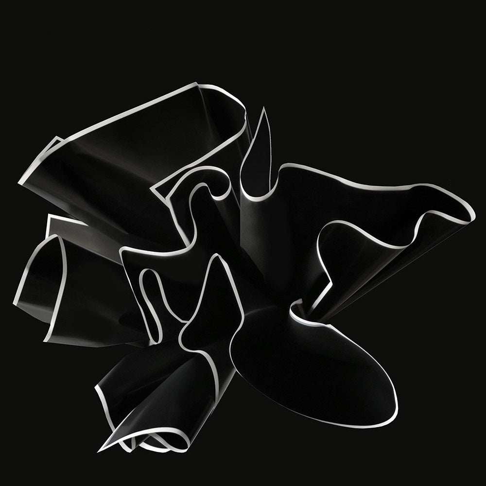 Black and White Edge Flower Wrapping Paper