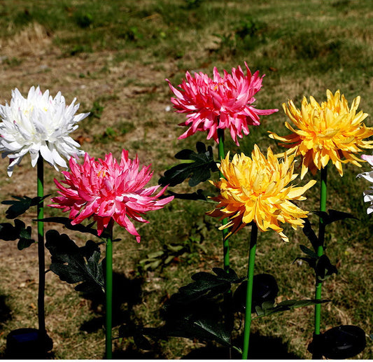 Solar Chrysanthemum Light for Outdoor Garden