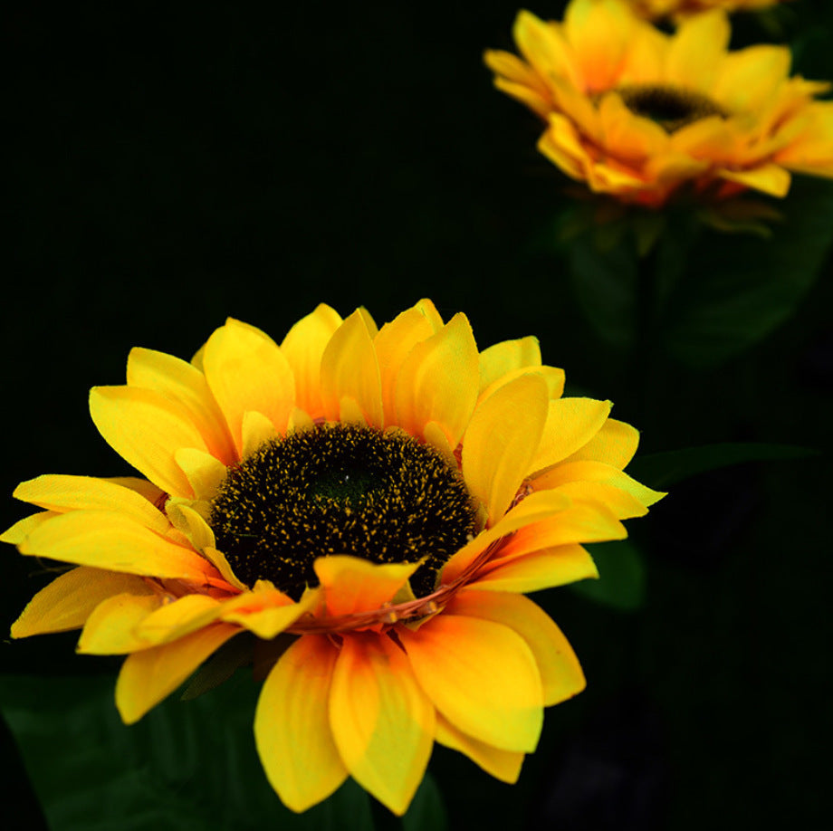 Solar Sunflower LED Light For Your Garden Decoration - Pack of 2