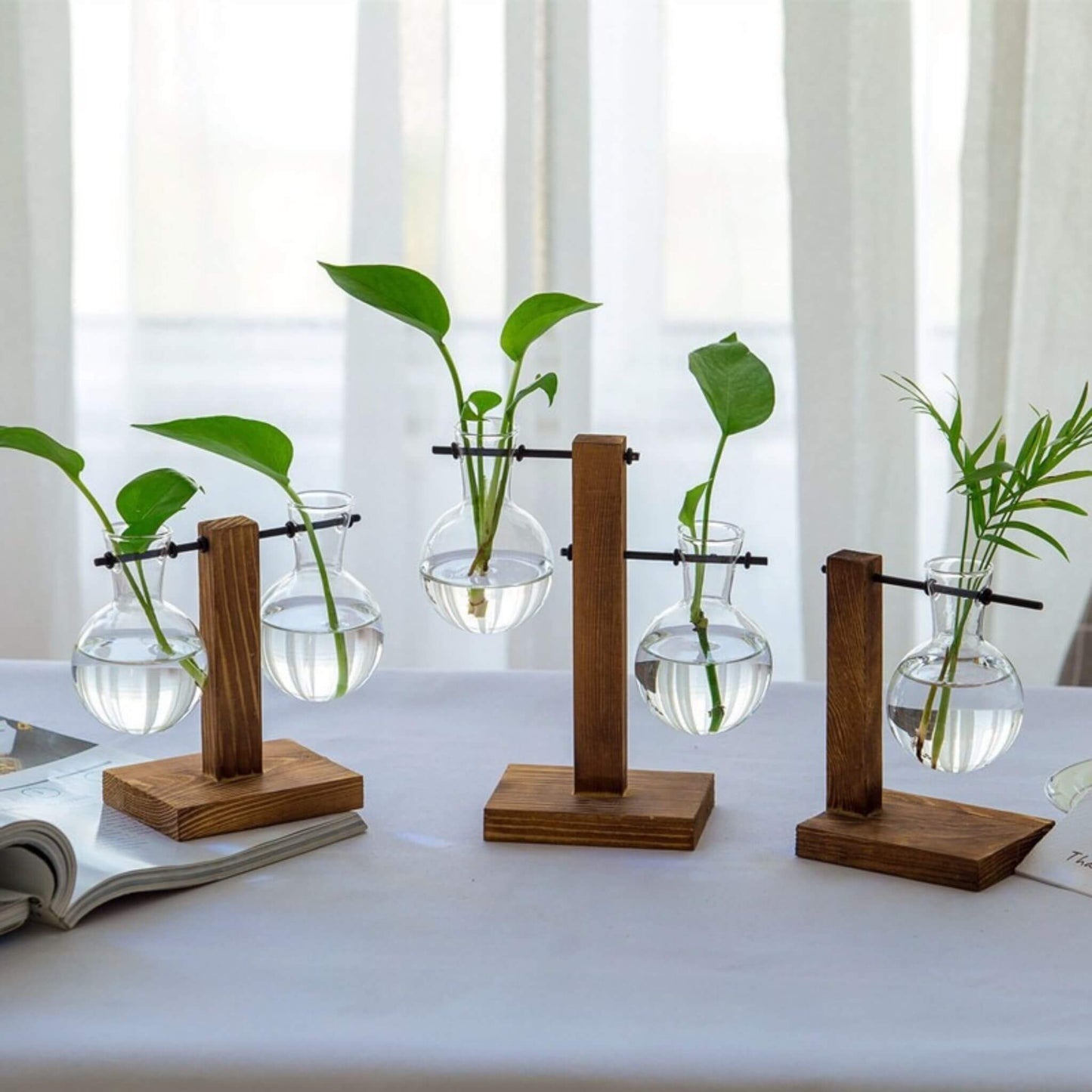 Plant Terrarium for Hydroponics Plants - Inverted T-Shaped