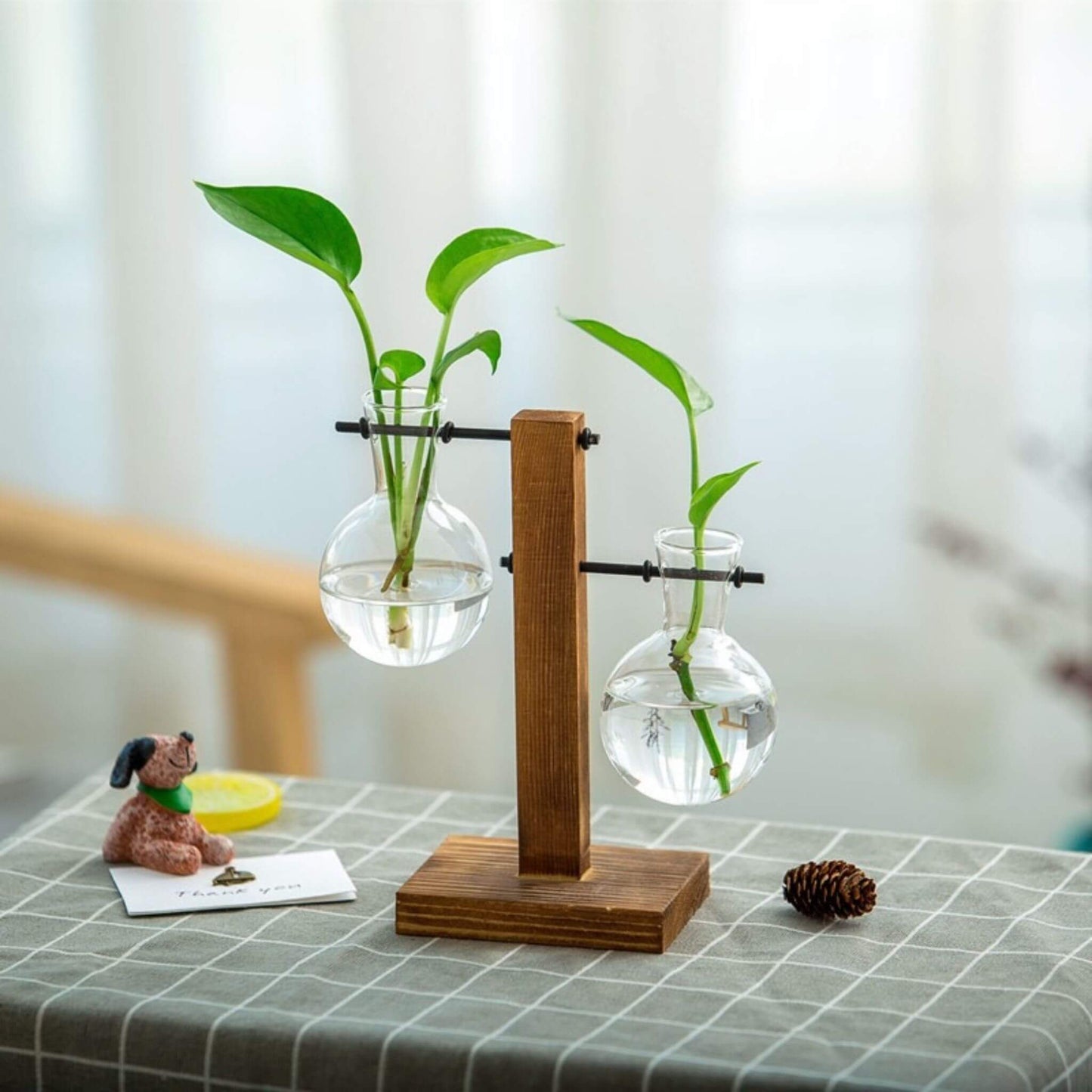 Plant Terrarium for Hydroponics Plants - Inverted T-Shaped