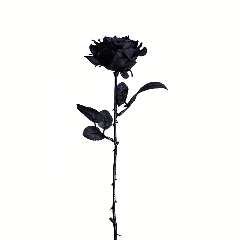 Gothic Artificial Rose - Black White Red Rose for Photography Gift and Home Decoration