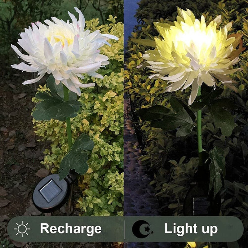 Solar Chrysanthemum Light for Outdoor Garden