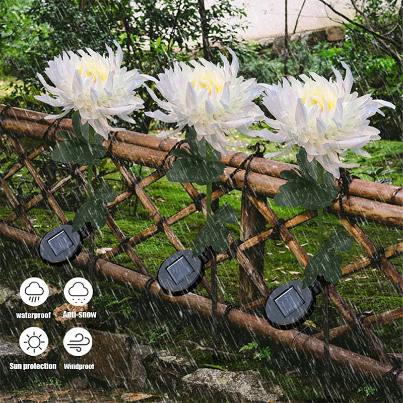 Solar Chrysanthemum Light for Outdoor Garden