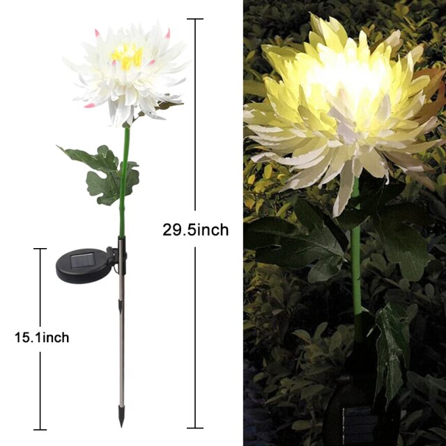 Solar Chrysanthemum Light for Outdoor Garden