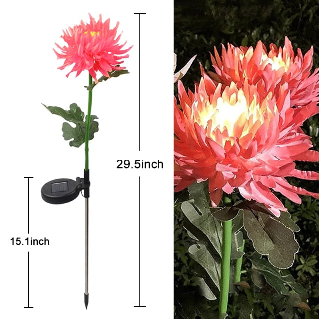 Solar Chrysanthemum Light for Outdoor Garden