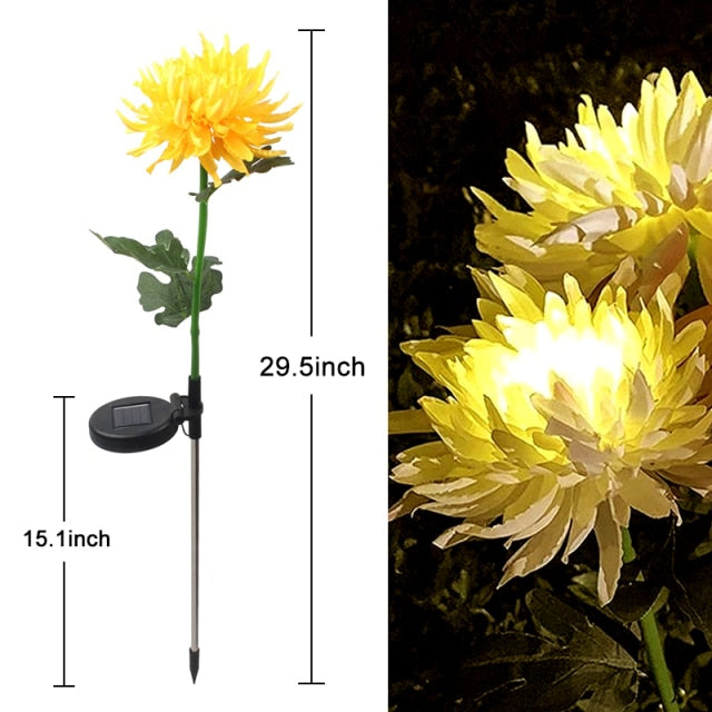 Solar Chrysanthemum Light for Outdoor Garden