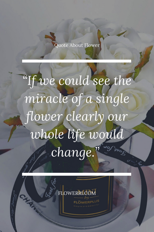 If we could see the miracle of a single flower clearly our whole life would change