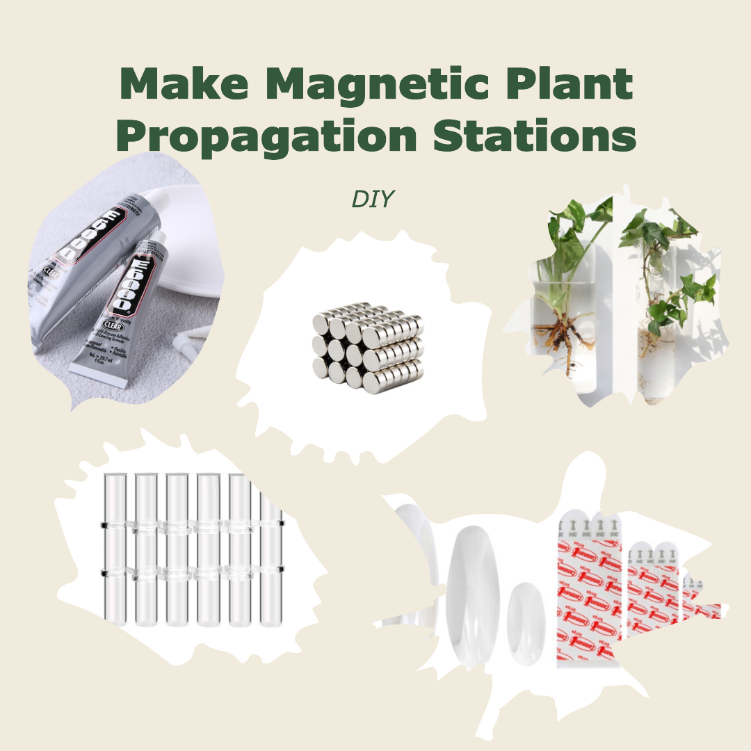 Make Magnetic Plant Propagation Stations - DIY Guide