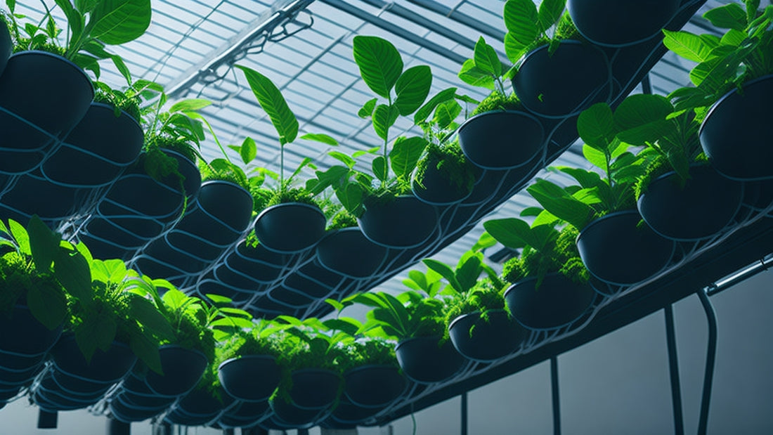 Unveiling the Relationship Between Hydroponics and Sunlight