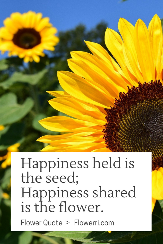 Happiness held is the seed; Happiness shared is the flower.