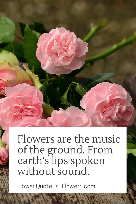 Flowers are the music of the ground. From earth’s lips spoken without sound