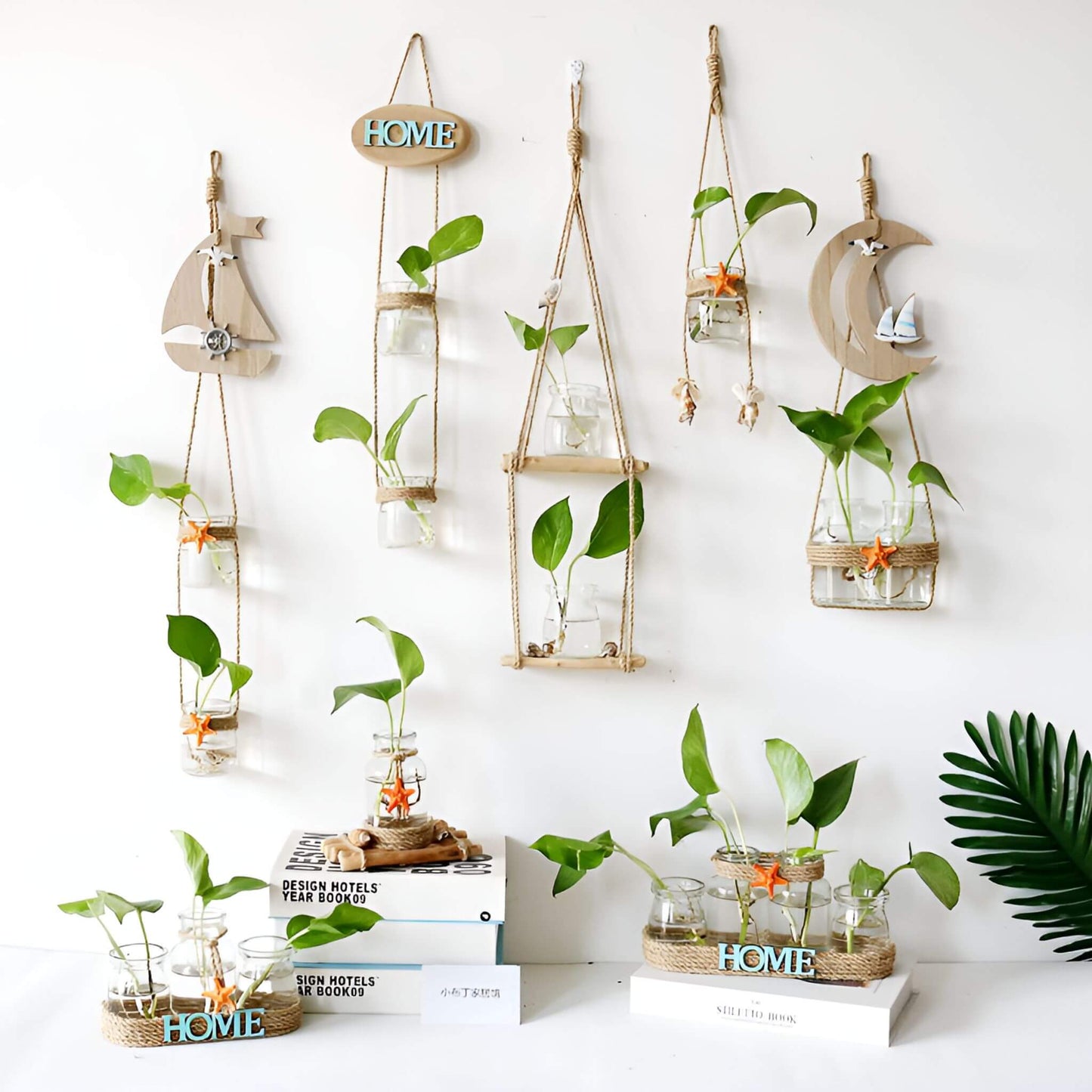 EcoVerse Hanging Glass Terrarium Set: Create Your Green Oasis