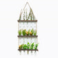 BloomHaven Multi-Tier Glass Hanging Plant Propagation Station