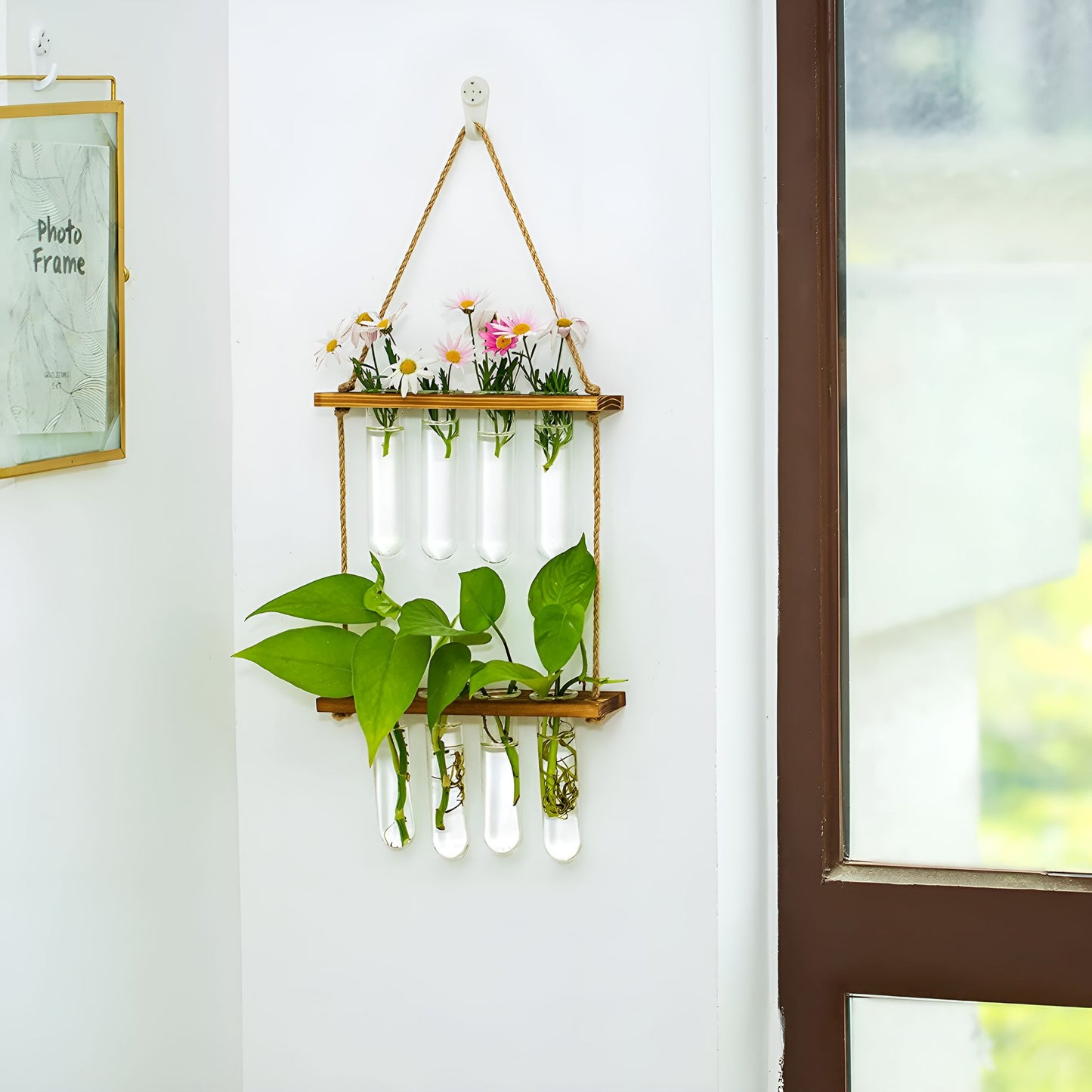 BloomHaven Multi-Tier Glass Hanging Plant Propagation Station