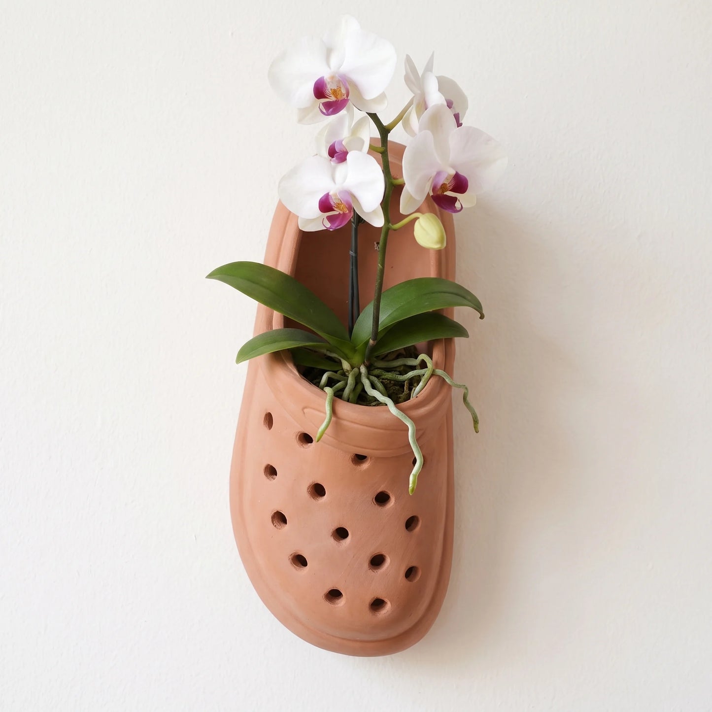 Handcrafted Clog Terracotta Planter