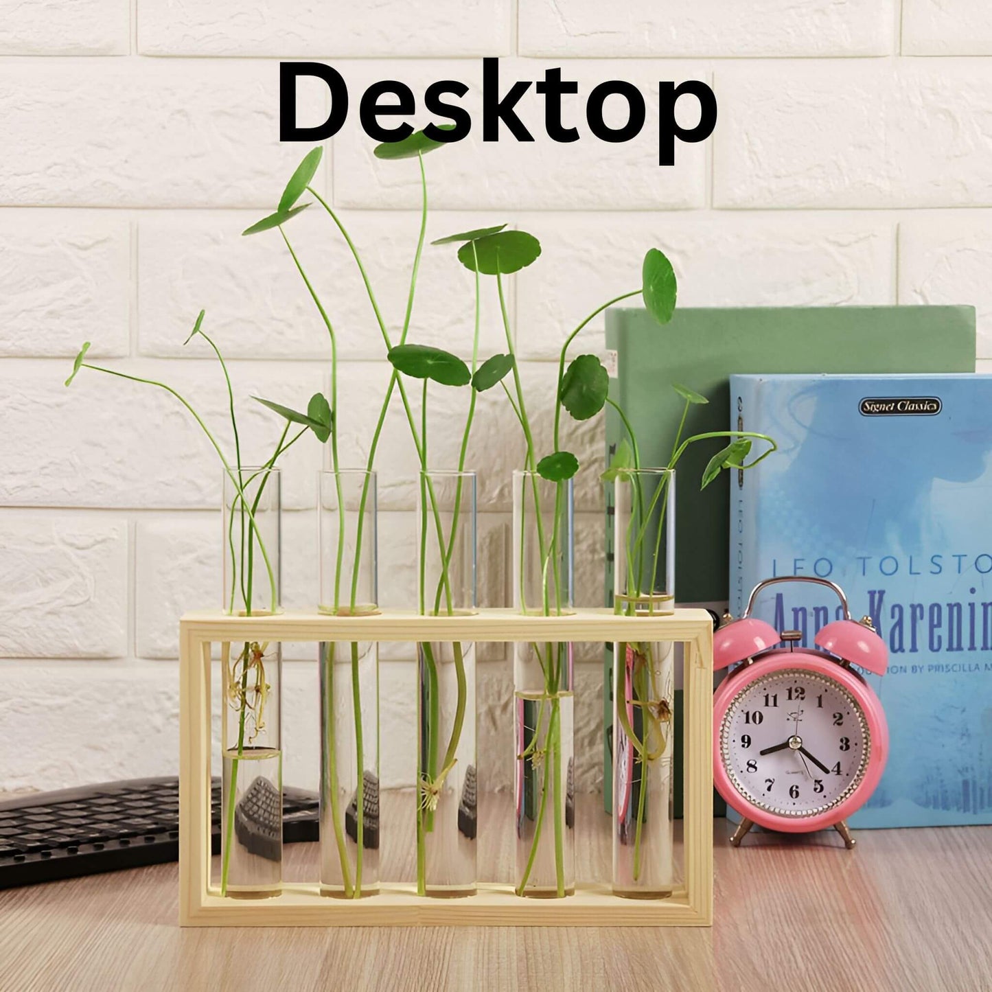 PlantVue Holder: Stylish And Simple Plant Propagation Station and Terrarium