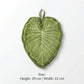 Plantowel - Plant-Inspired Hanging Hand Towel