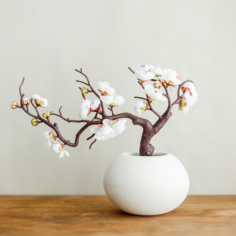 plum blossom indoor plant Plum blossom Series