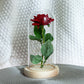 Forever Flower with Red Rose and Led Light